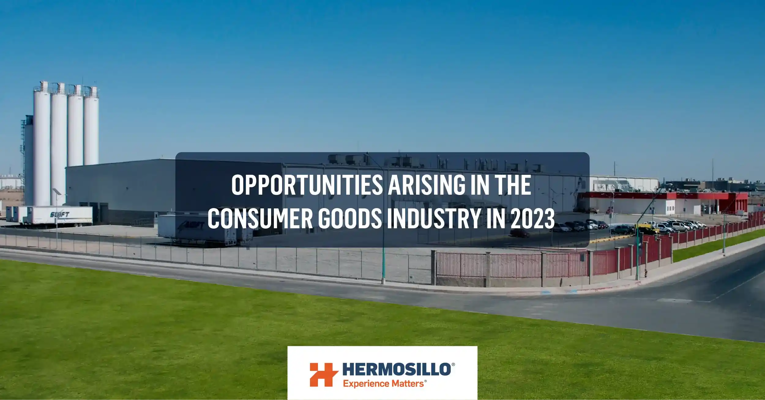 Blog cover about opportunities arising in the consumer goods industry