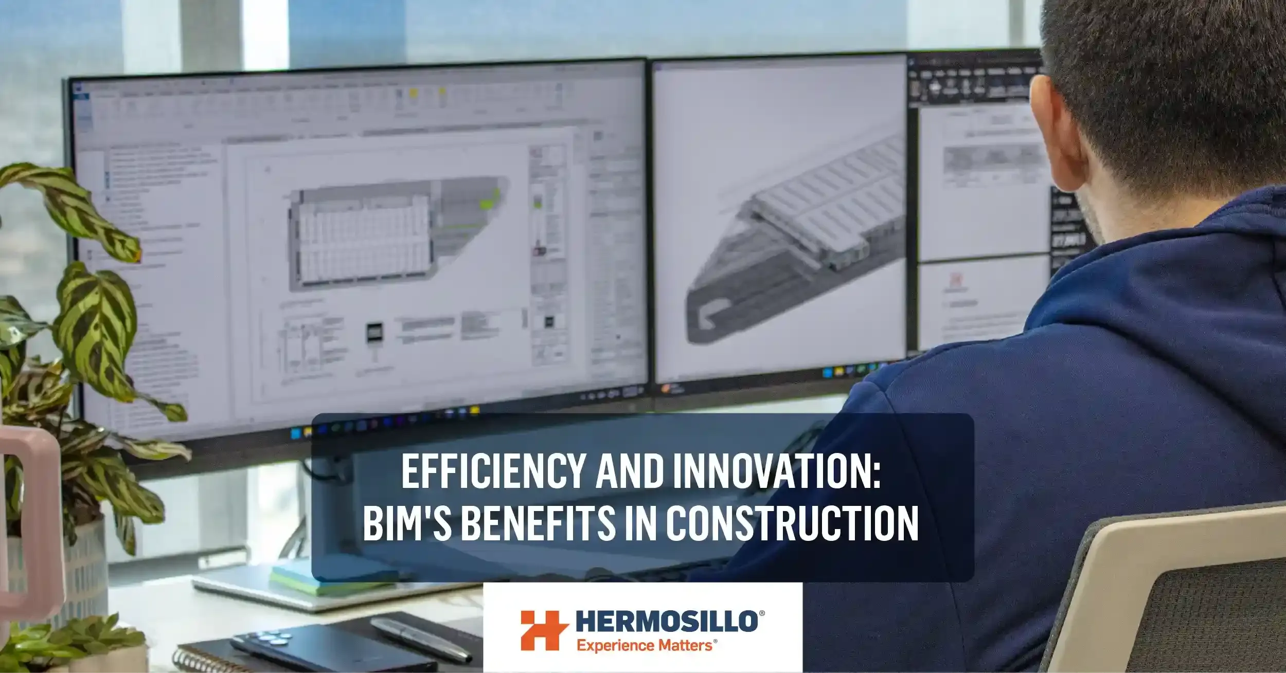 efficiency-and-innovation-bims-b
