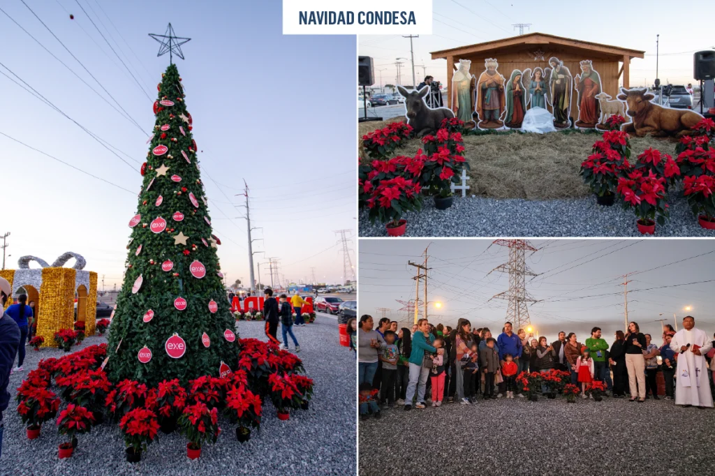 Fotografías de el encendido de árbol navideño en Condesa, Navidad Condesa